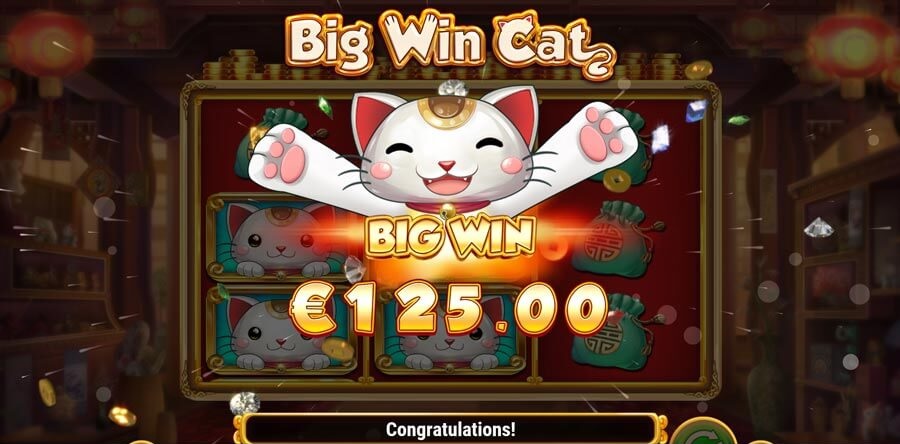 Big-Win-Cat-Slot-Win-Captura della tela
