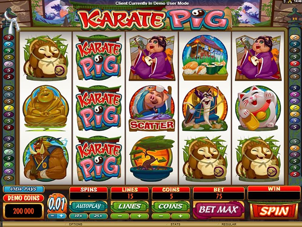 Panoramica del gameplay del gioco slot Karate Pig